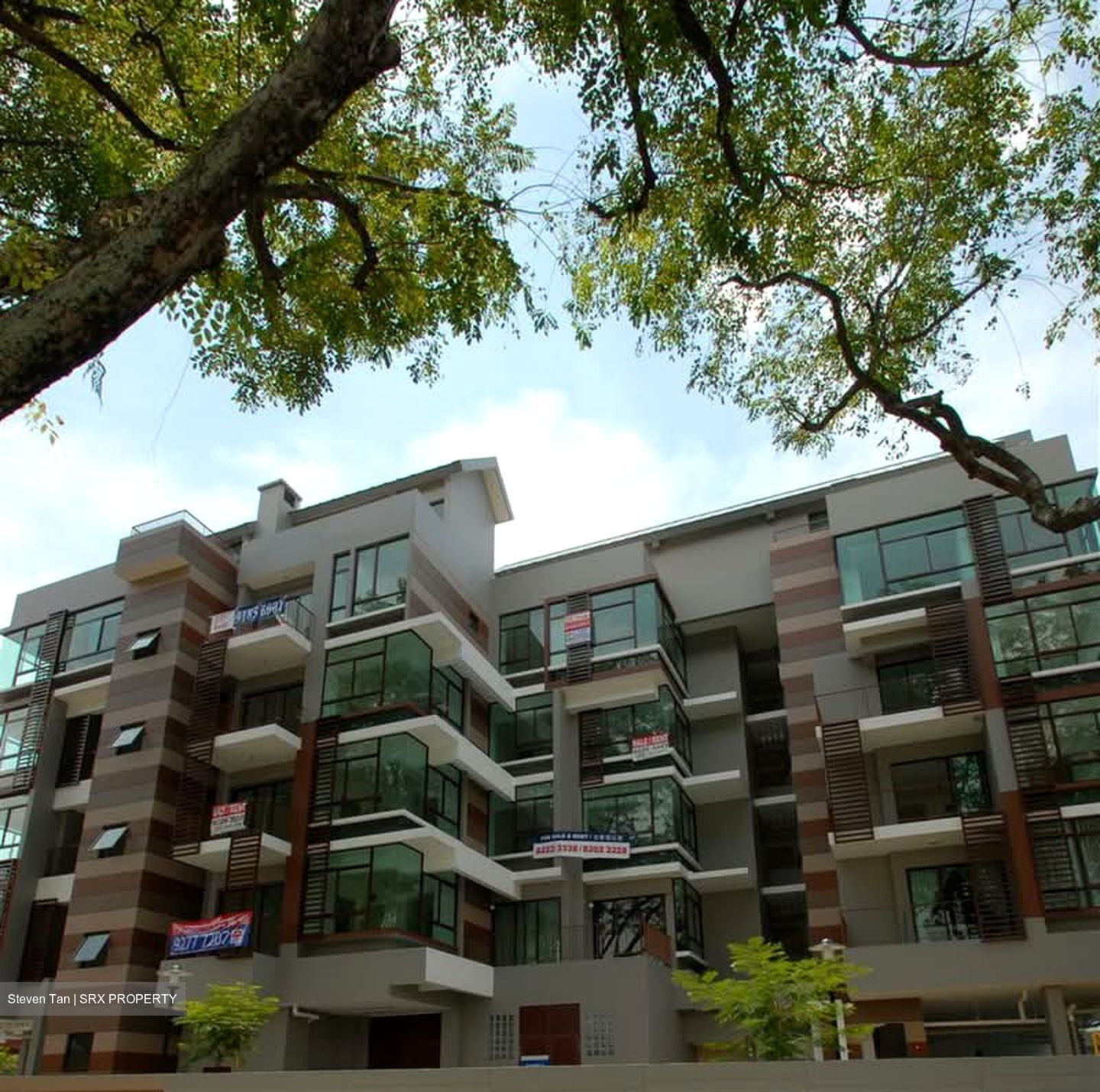 The Amarelle (D15), Apartment #638491901